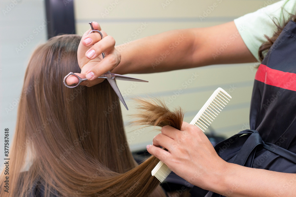 Naklejka premium Womens hairdresser, beauty salon. Professional stylist cuts female hair in salon