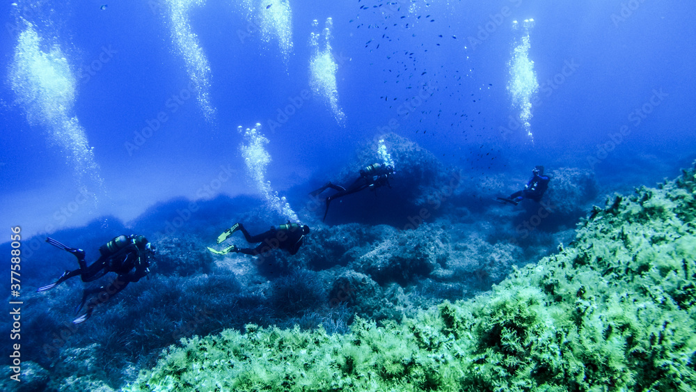 Fototapeta premium Scubadiving Shipwreck Diving