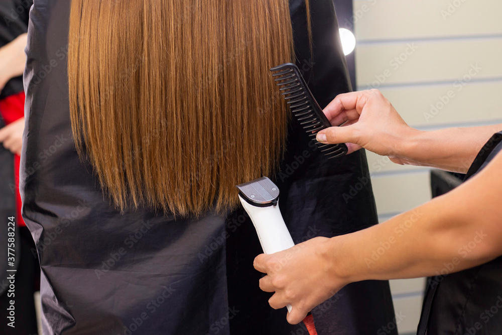 Naklejka premium Hairdresser with a hair machine. cutting off split ends of hair with a clipper. close up.