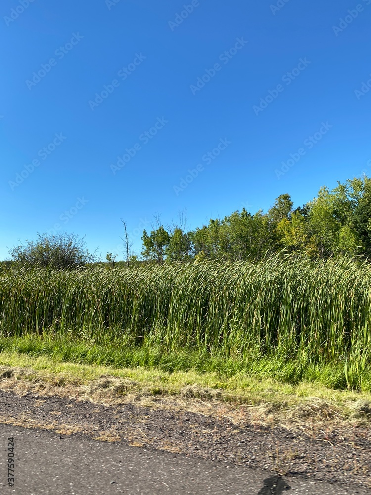 Scenic Minnesota Landscape in the Summer Time Scenic Minnesota Landscape in the Summer Time