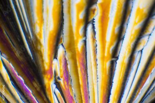 クエン酸の結晶