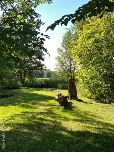 Scenic Minnesota Landscape in the Summer Time