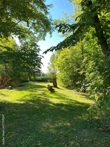 Scenic Minnesota Landscape in the Summer Time
