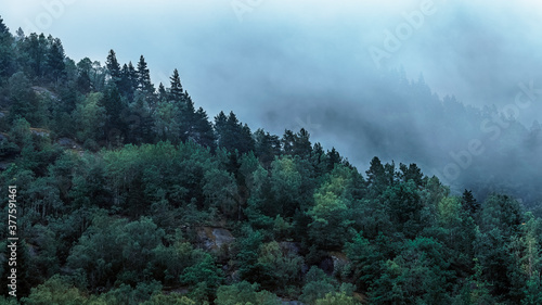 Moody dark blurry landscape view over the foggy mountains in a rainy day .