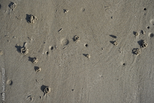 Haufen und Löcher von Wattwürmern im feuchten Sand