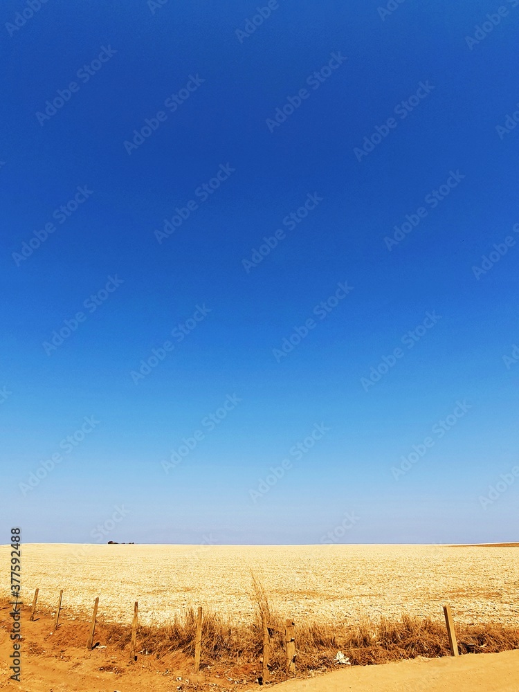 Obraz premium Horizonte azul