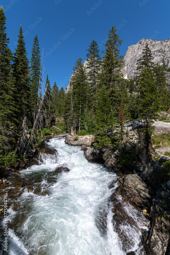Cascade Creek in the Teton National Park Cascade Creek in the Teton National Park
