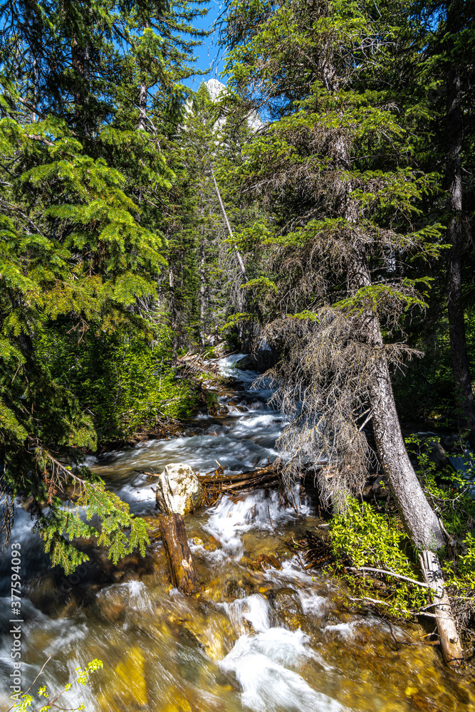 Cascade Creek in the Teton National Park Cascade Creek in the Teton National Park