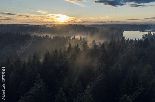 Fog over the forest sunset, aerial view