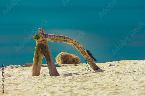 Chunks of wood on the beach photo