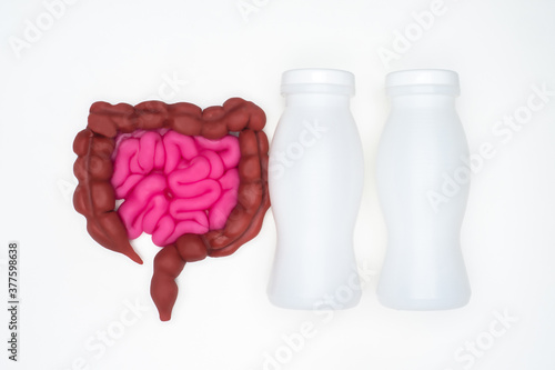 Probiotics and a healthy gu...