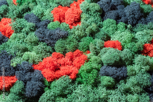 A pattern of multicolored m...