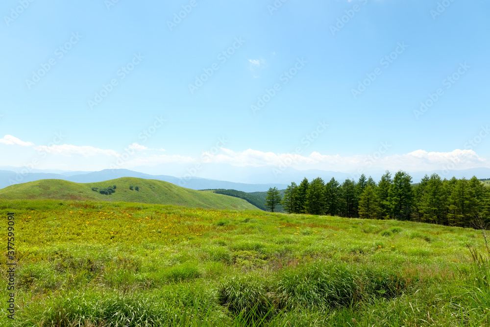 真夏の霧ケ峰高原