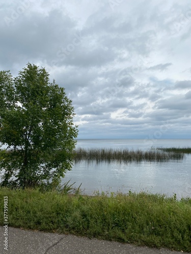 Scenic Minnesota Landscape in the Summer Time