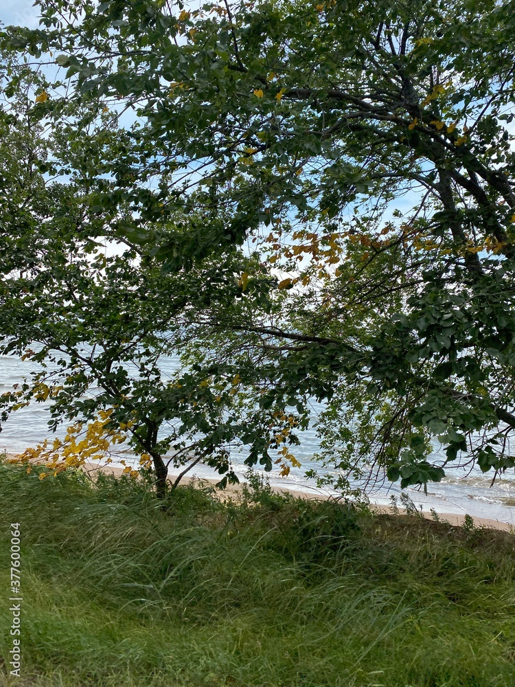Scenic Minnesota Landscape in the Summer Time Scenic Minnesota Landscape in the Summer Time