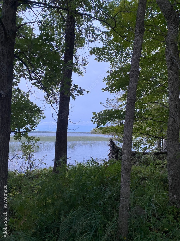 Scenic Minnesota Lake Side Landscape in the Summer Time Scenic Minnesota Lake Side Landscape in the Summer Time