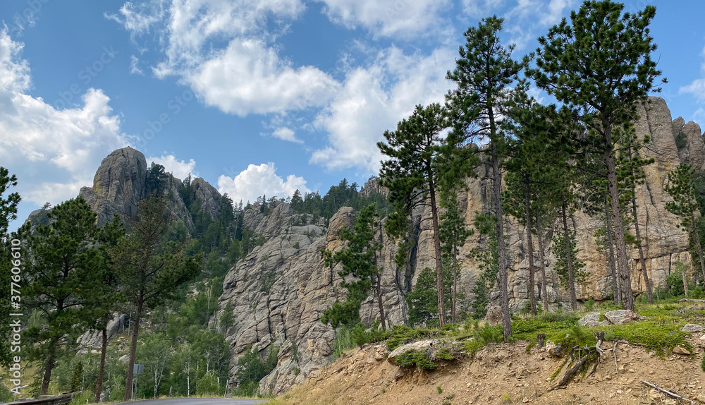Fototapeta premium the needles in the black hills
