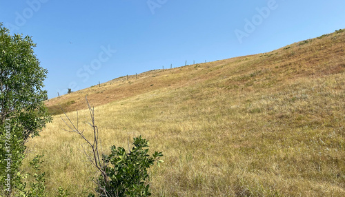 wildlife loop prairie