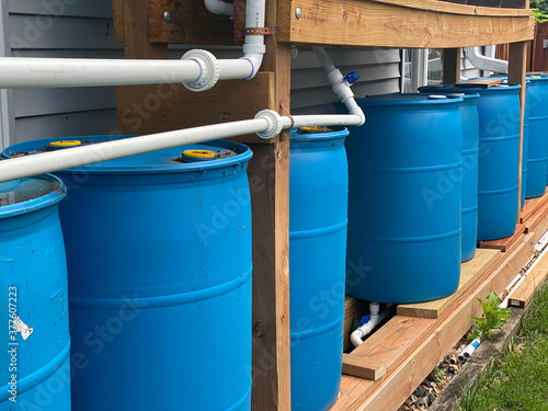 Blue Barrels for collecting rain water