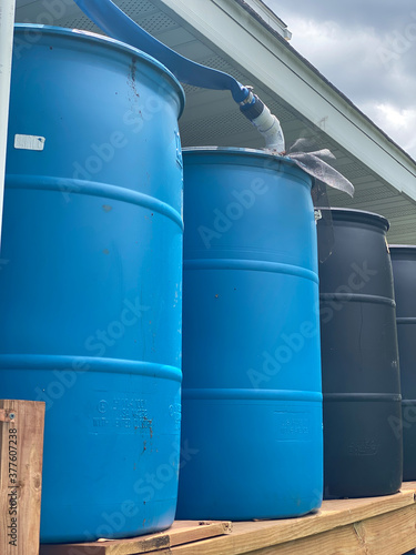 Blue Barrels for collecting rain water