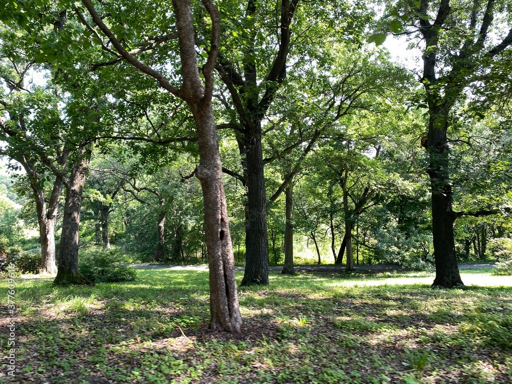 Scenic Minnesota Landscape in the Summer Time Scenic Minnesota Landscape in the Summer Time
