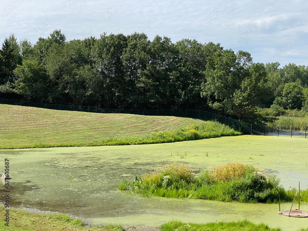 Scenic Minnesota Landscape in the Summer Time Scenic Minnesota Landscape in the Summer Time