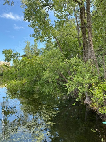 Scenic Minnesota Landscape in the Summer Time