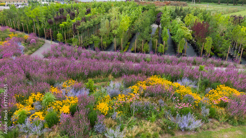 colorful nature orchard field with many beautiful flowers