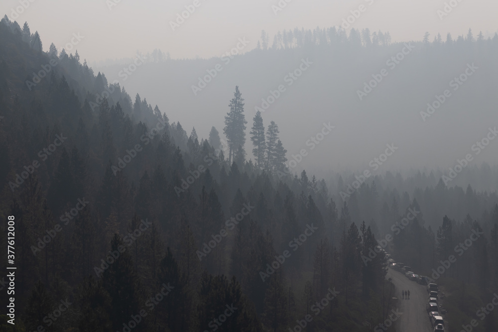 smoky air in the pine trees taken near bend oregon