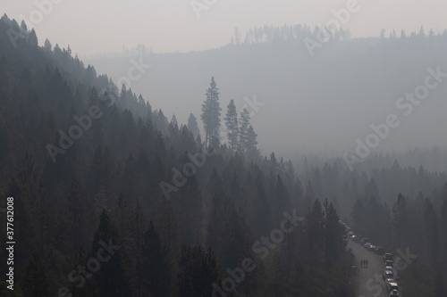 smoky air in the pine trees taken near bend oregon