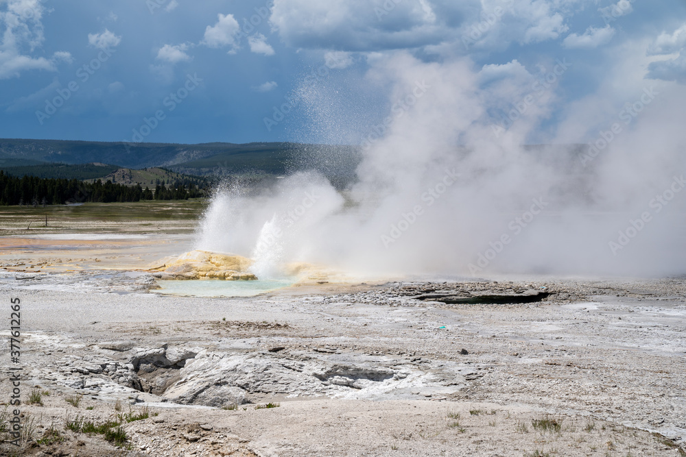 The Fountain Geyser erupts in Yellowstone National Park