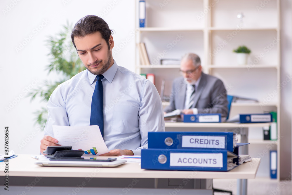 Two accountants working in the office Two accountants working in the office