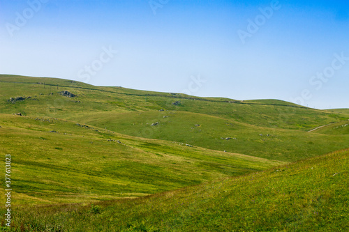 peaceful broad and green plateau