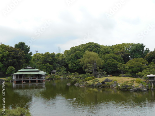 6月の清澄庭園 