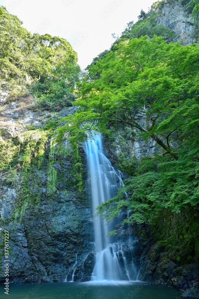 Obraz premium 涼しさ満点の真夏の箕面大滝＠大阪