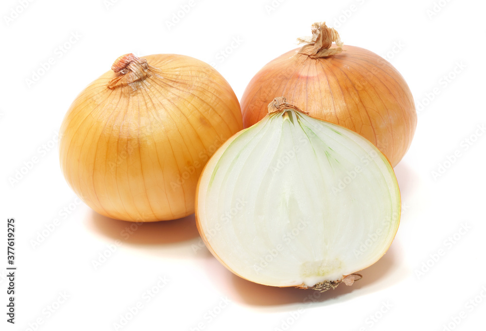 Fototapeta premium タマネギ