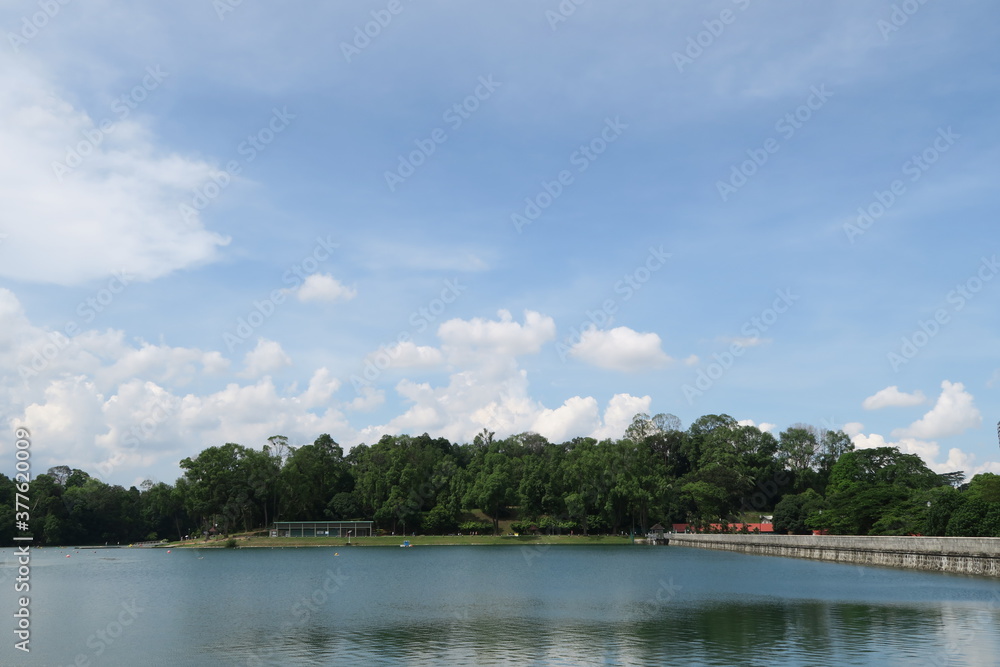 Water behind the dam of Macritchie reservoir