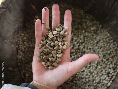 coffee beans in hand