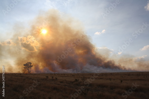 Farm fire smoke cloud