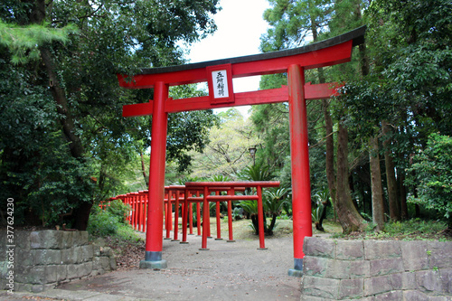 Red torii Shinto gate around Miyazaki Jingu Shrine