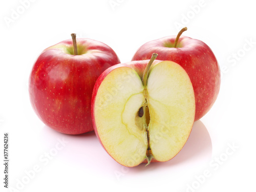 りんご サンジョナゴールド 岩手県産 リンゴ 日本