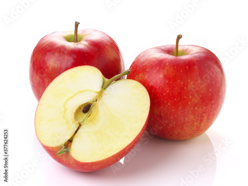 りんご サンジョナゴールド 岩手県産 リンゴ 日本