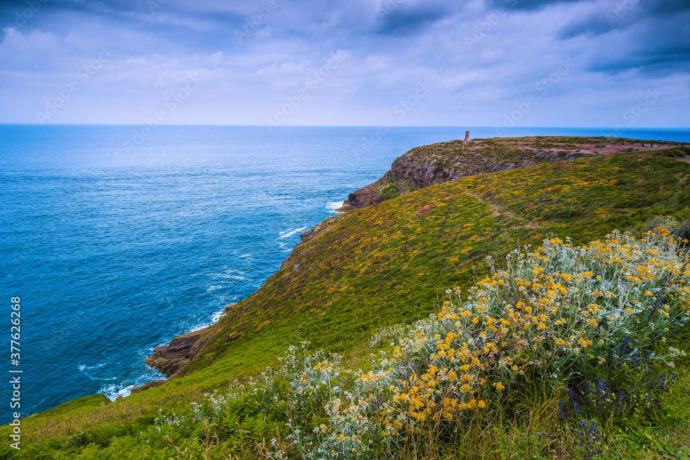 Colorful flowery fields on the slopes with rocky coastline, France