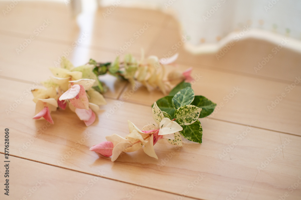 インテリアで飾った花(ハツユキカズラ) インテリアで飾った花(ハツユキカズラ)