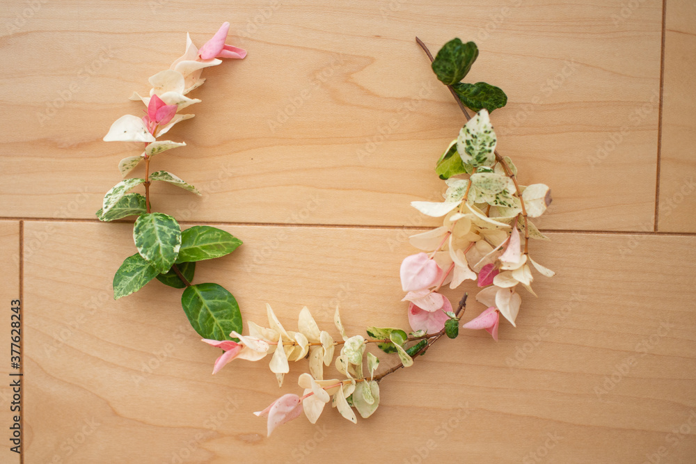インテリアで飾った花(ハツユキカズラ) インテリアで飾った花(ハツユキカズラ)