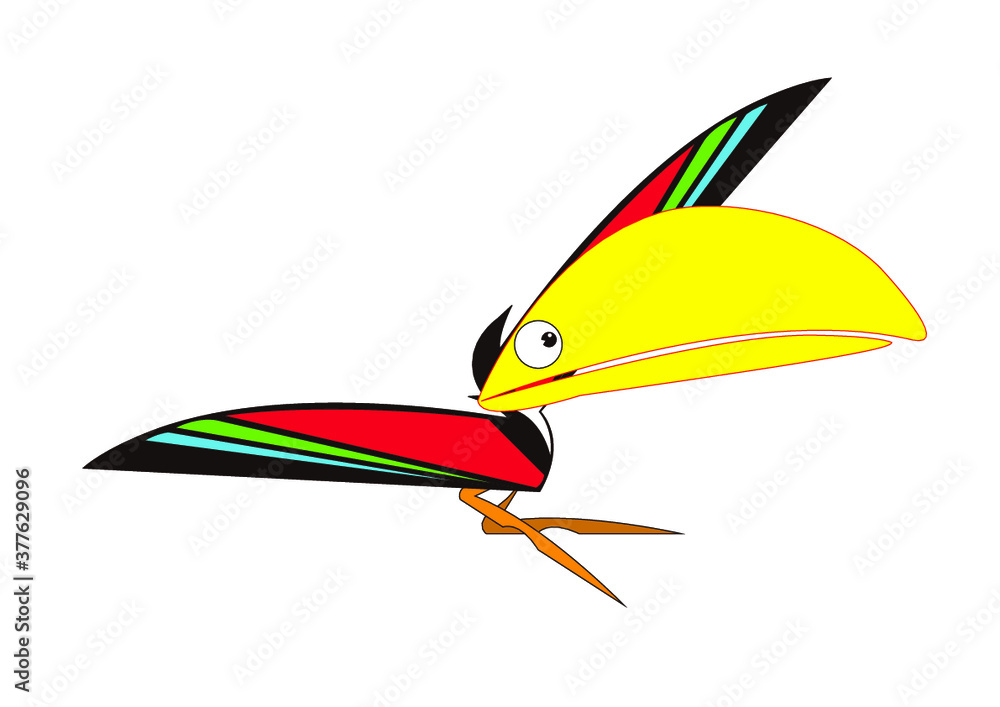 オオハシ オオハシ