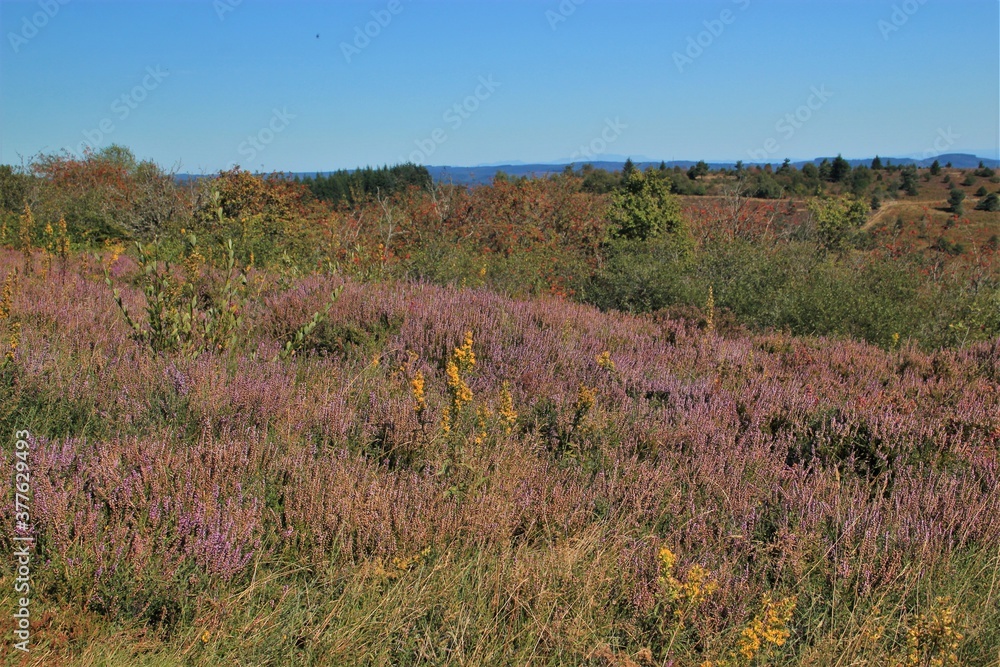 Le massif des Monédières en Corrèze . Le massif des Monédières en Corrèze .