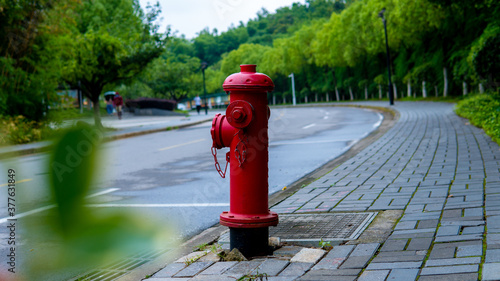 Bilde på lerret red fire hydrant