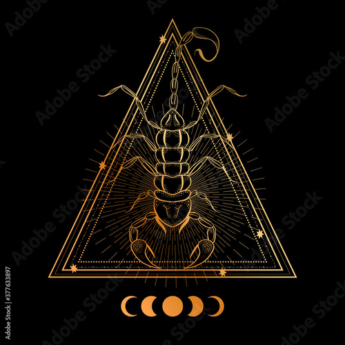 Boho illustration with scorpion. Tattoo art style. Decorative drawing in flash tattoo style.
