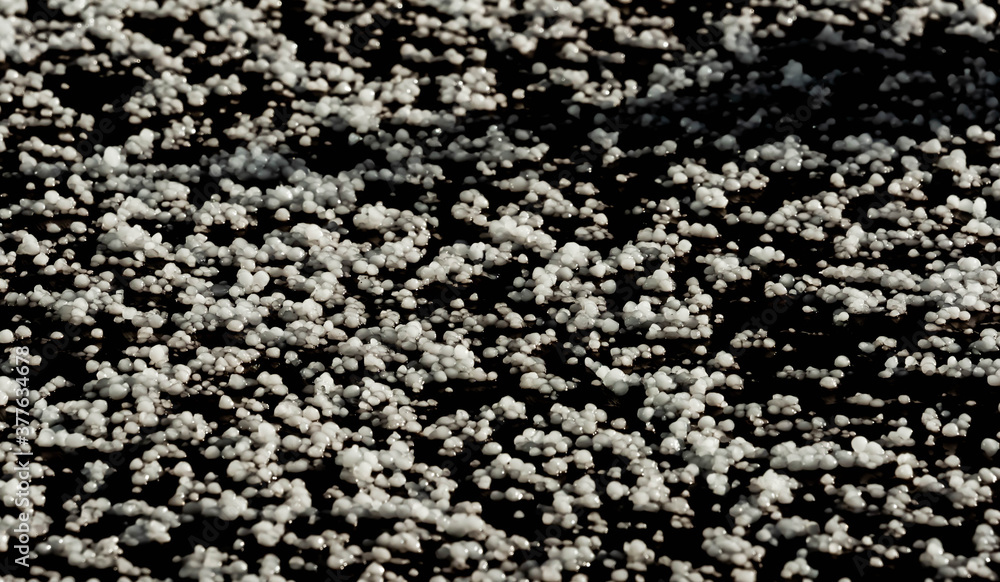 Icy hail drops from a thunderstorm. Close up.